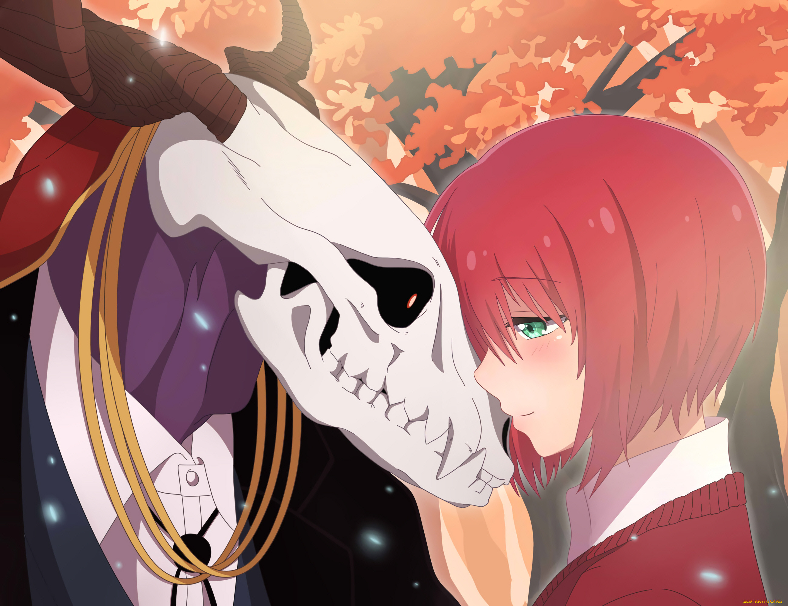 , mahou tsukai no yome, , 